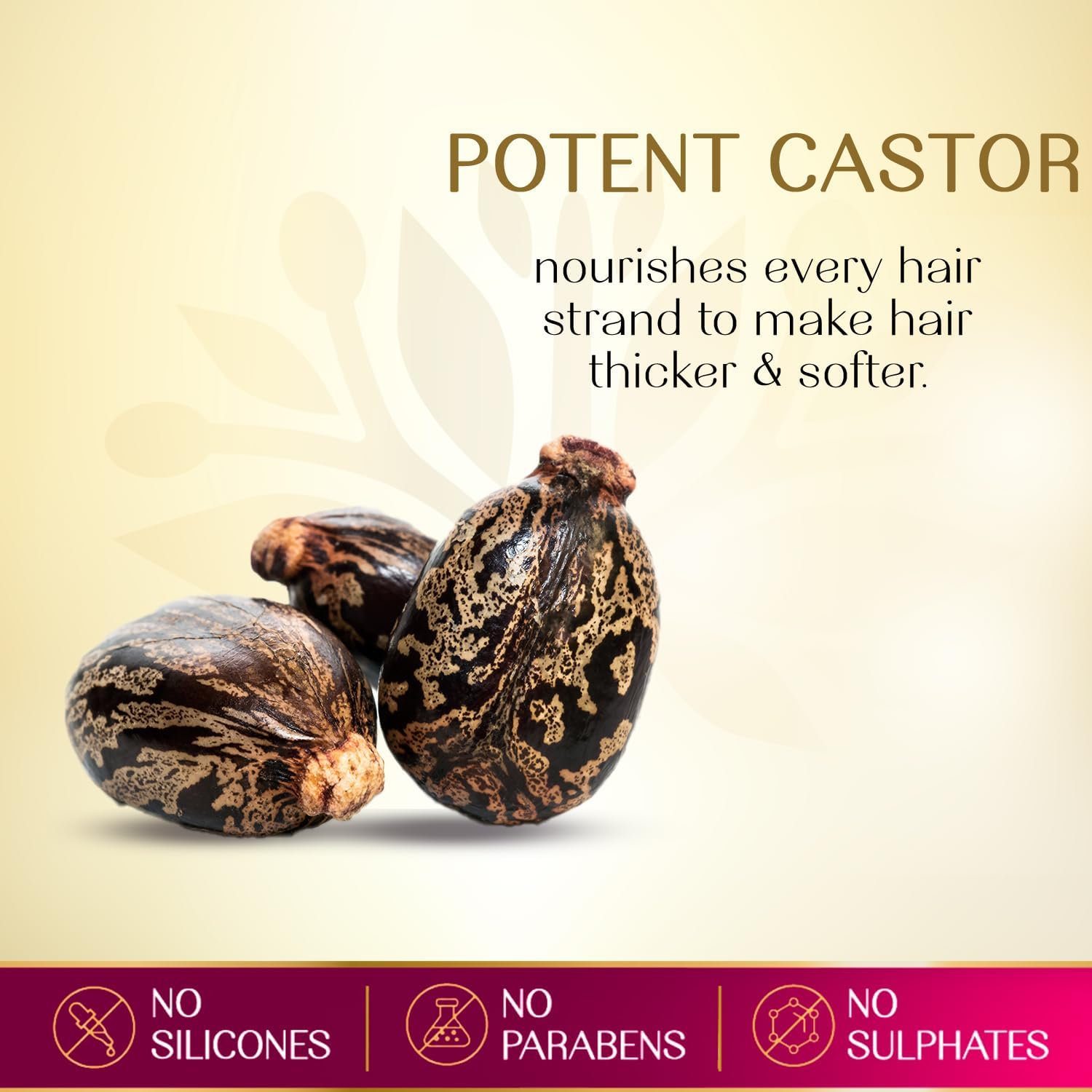 زيت هربسينديا 280 مل – بمبي CASTOR & 7 SEEDS - الصورة 4
