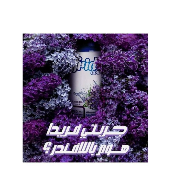 فريدا هوم معطر 480 مل