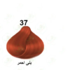 صبغة بايجن 6جم (37بني احمر)